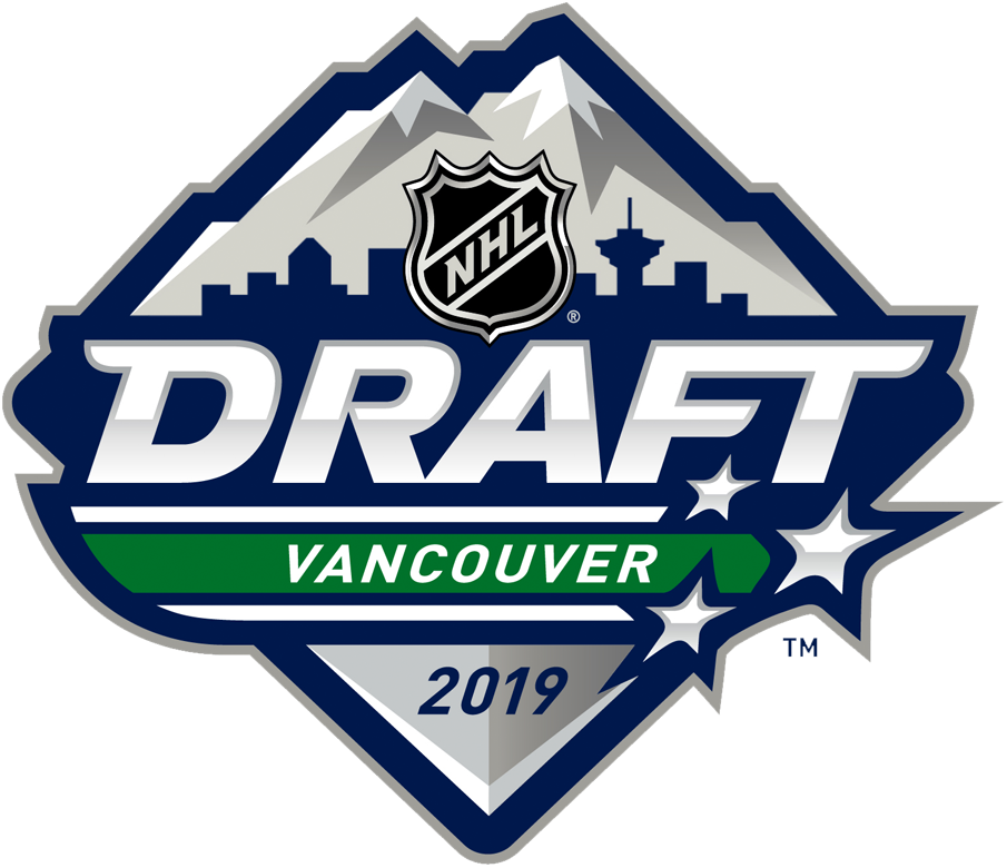 NHL Draft 2019 Primary Logo DIY iron on transfer (heat transfer)